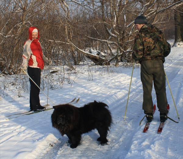 32. в летяжевке